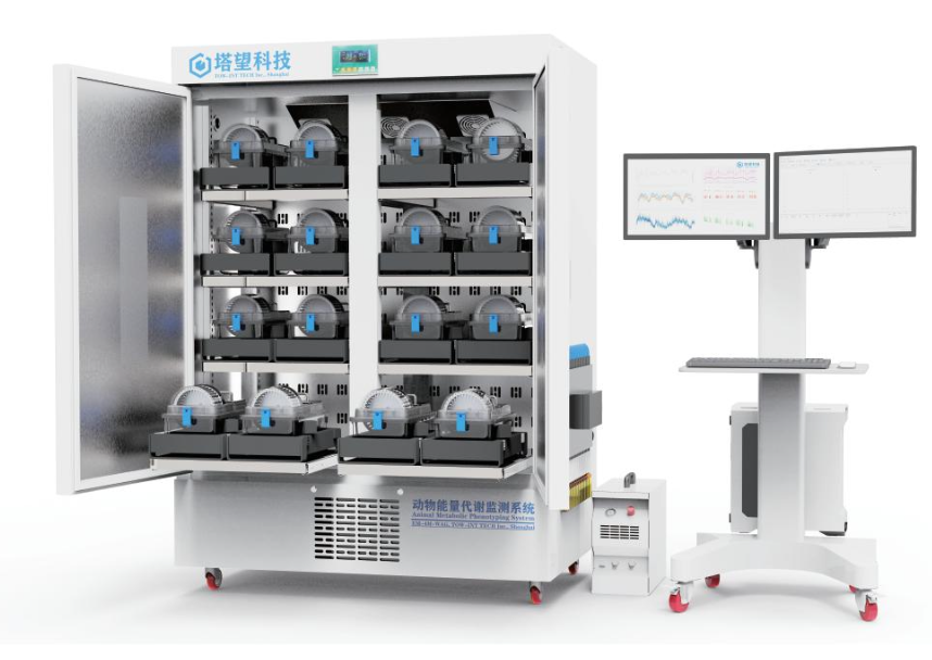 动物能量代谢系统