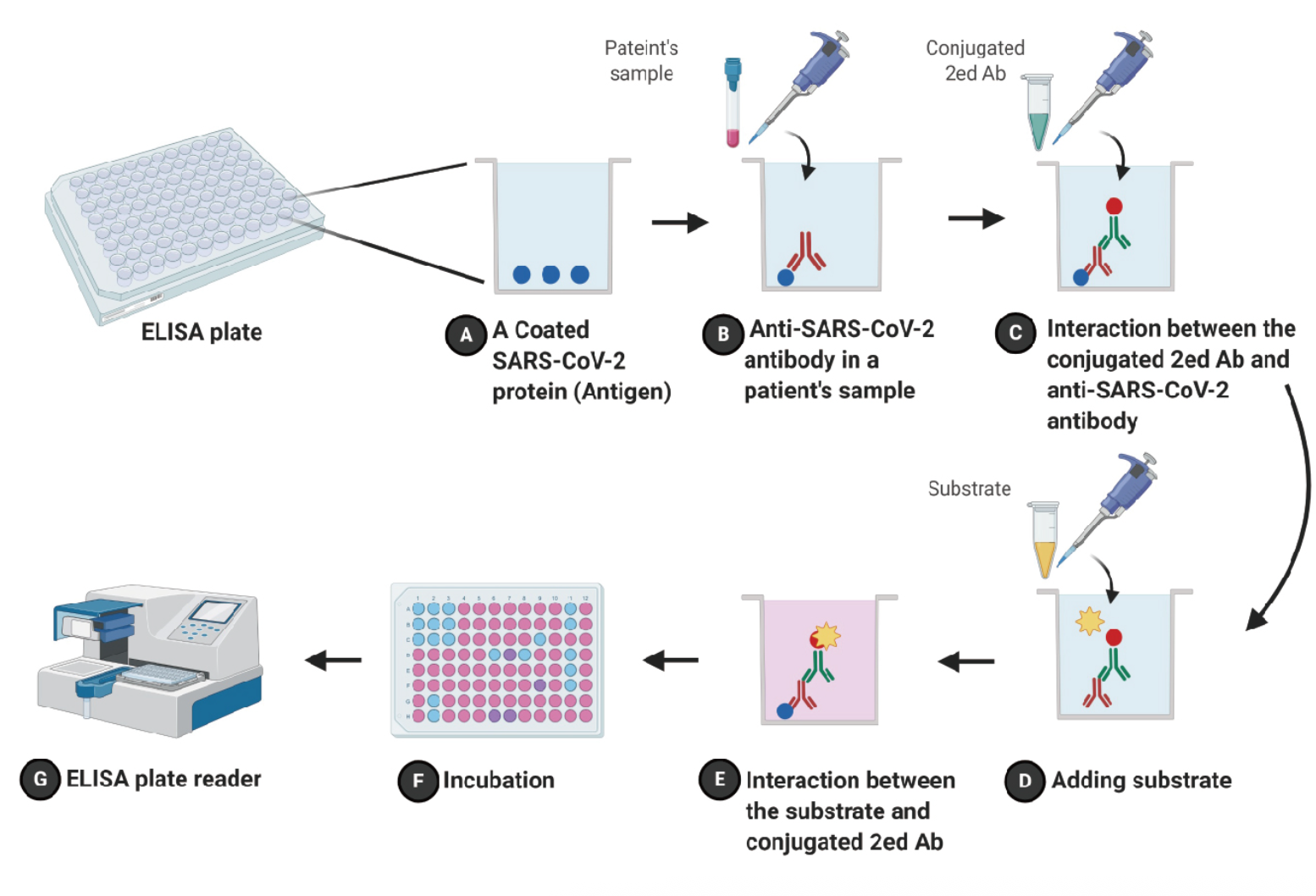 酶联免疫吸附ELISA
